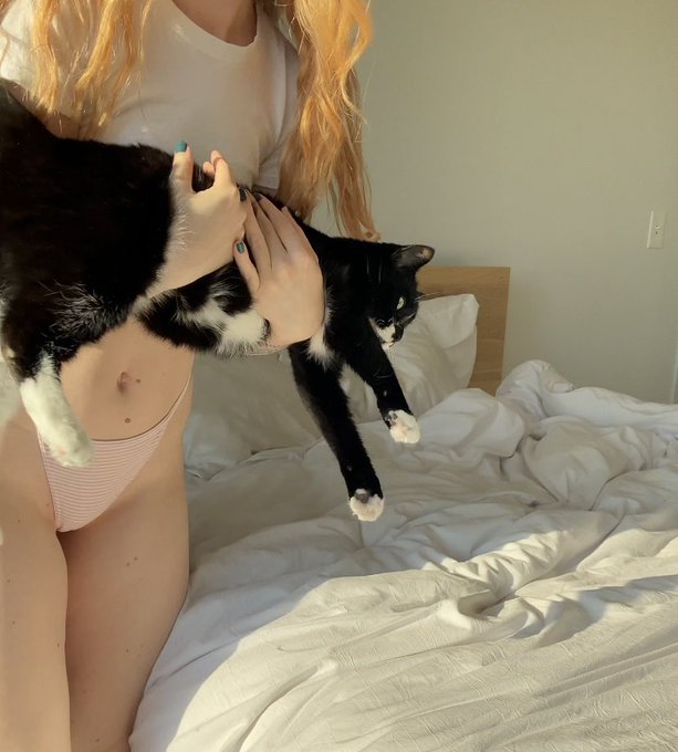 removing the rat from my bed so I can take pictures https://t.co/V4MujkXf1U