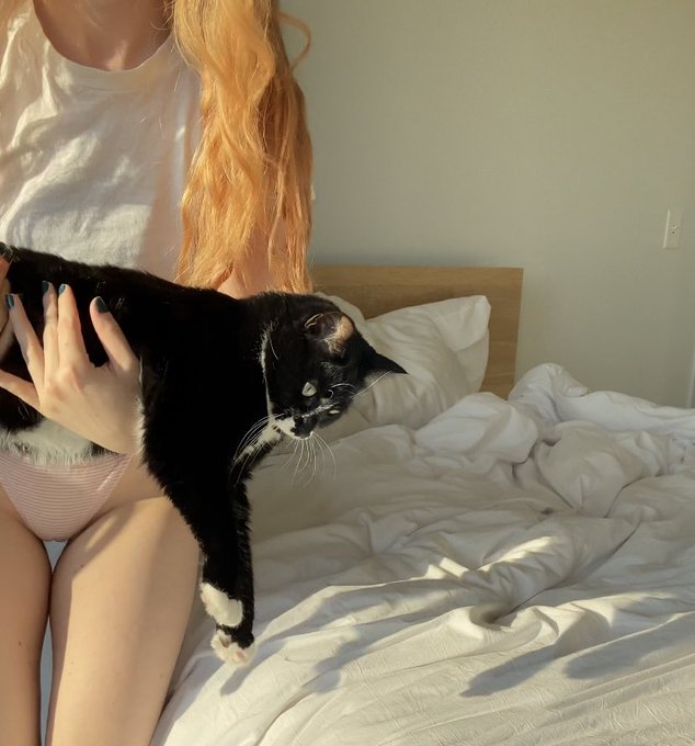 removing the rat from my bed so I can take pictures https://t.co/V4MujkXf1U