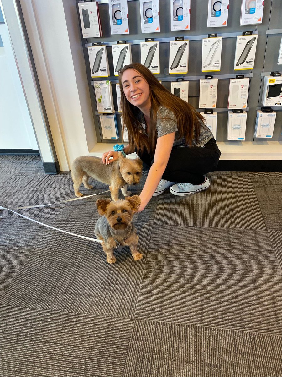 anthonydomonick's tweet photo. I think @kirvanderhoof first week as a part of team C-Side has been a success!! @DanielaCarla00 @jrluna11 @One_FLA @theeastregion #WinningTheWeekend #LifeAtAtt @tonibraxton44 https://t.co/vKbFjCT5tj