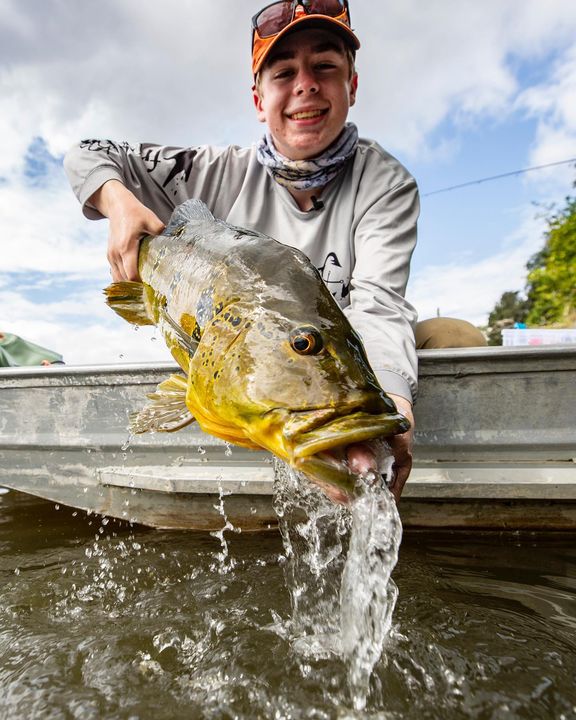 DUPEAFISHALERTS's tweet photo. Ever dreamt of catching giant peacock bass?  #bucketlistfish #bucketlistfishing #bucketlistfishingtrips #peacockbass #bass #bassfishing #bassfishingismylife #bassfishingnation #flyfishing #flyfishtheamazon https://t.co/2YX085QNCy
