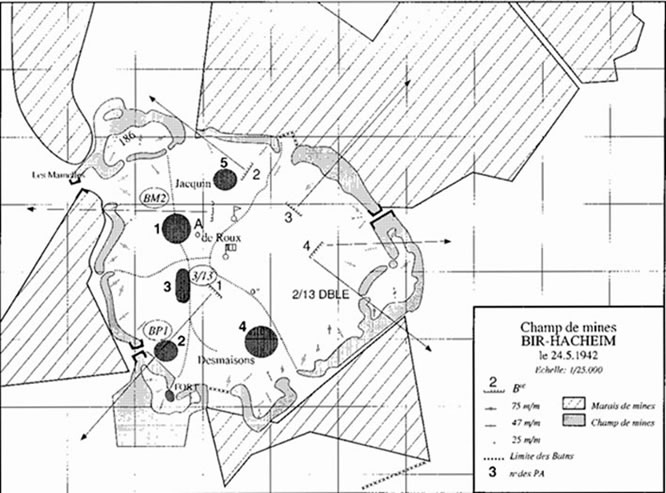Like the boxes of the North African campaign, for instance: separate fortresses a few miles wide, pr...