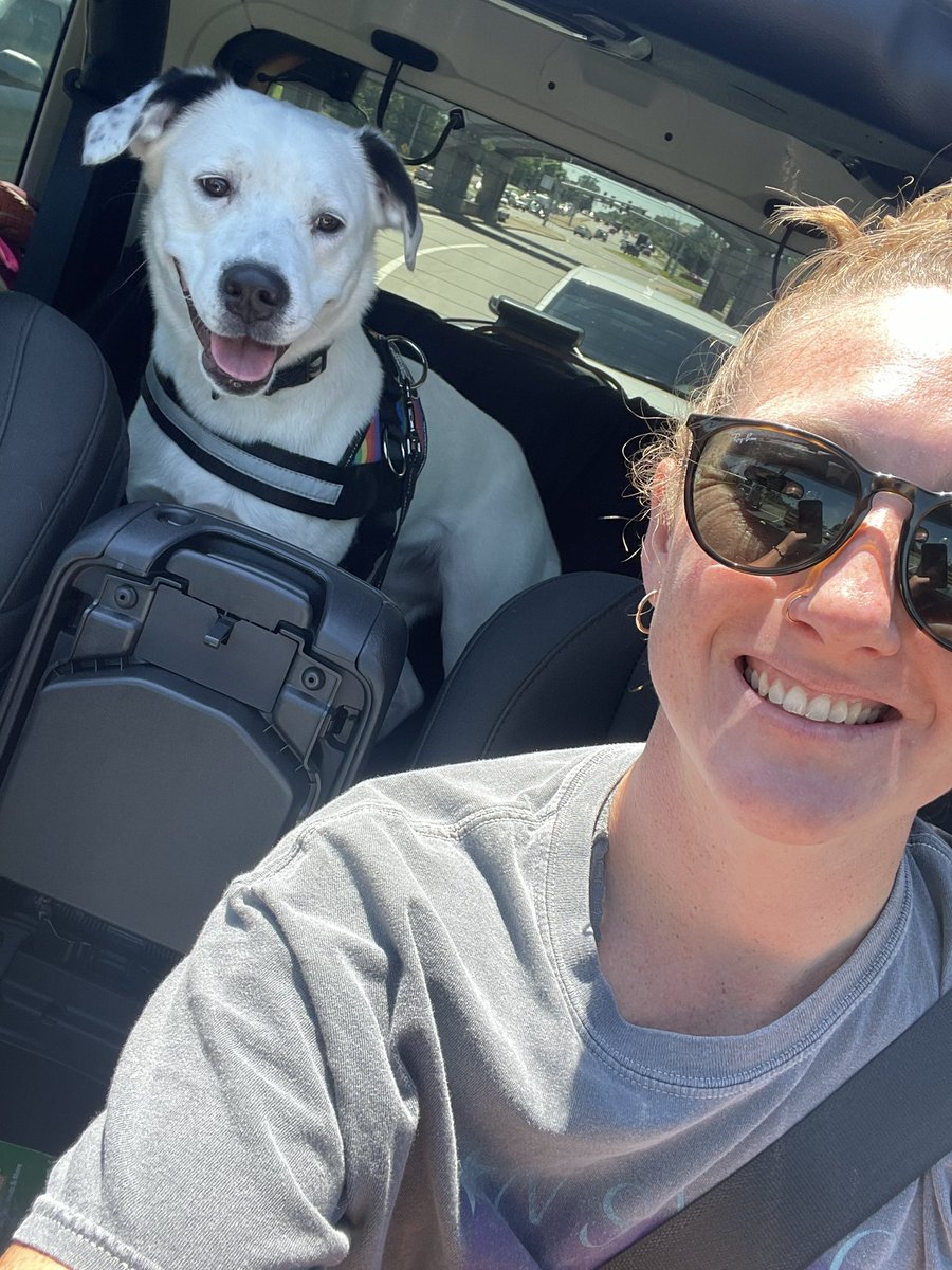 bwalshatc's tweet photo. Hey Twitter and #ATTwitter. Who wants to help me find a forever home for my foster pup, Ears? She’s a 1-2yo lab mix, ~40 lbs. and the sweetest girl. Loves walks, hiking and snuggling. DM me with any questions/click the link in the next tweet to fill out an adoption application!! https://t.co/az0FwvMTvs