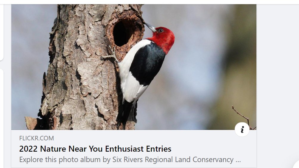 kathyklein4's tweet photo. Six Rivers Land Conservancy 2022 Nature Near You Photo Contest submittals are now available to view!
Follow the links below to view the entries in their respective categories:
Juried Entries: https://t.co/S7Dvleusbx
Enthusiast Entries: https://t.co/ty1MnLqiYg https://t.co/HcRmV8UDe3