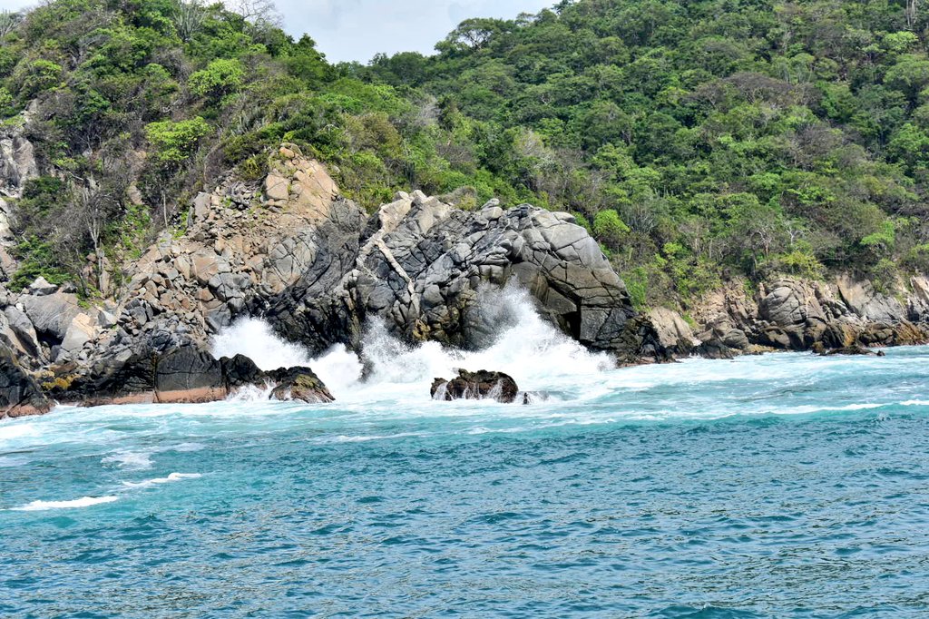 NexosTuristicos's tweet photo. #SabiasQue | El destino turístico de #Huatulco está conformado por 9 bahías con 36 playas, y en el marco de la #ConvencionAMAVCDMX2022
#AMAVCDMXenHuatulco socios @AMAVCDMX que preside @Julian_ArroyoC @JulianA90783928 recorrieron a bordo de catamarán algunas de ellas: #PlayaMaguey https://t.co/6lBbcPTN6t