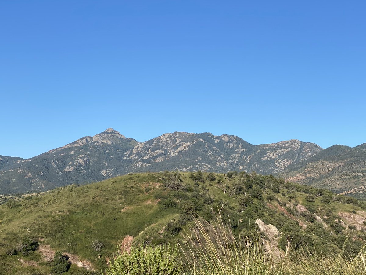 Wellbeing_au's tweet photo. #beautiful #hike this morning with my new #mates from #warriorpathh fantastic views of #SamtaRita #Mountains #posttraumaticgrowth #strugglewell #goodtimes #bouldercrest https://t.co/b1QwXRsU3n
