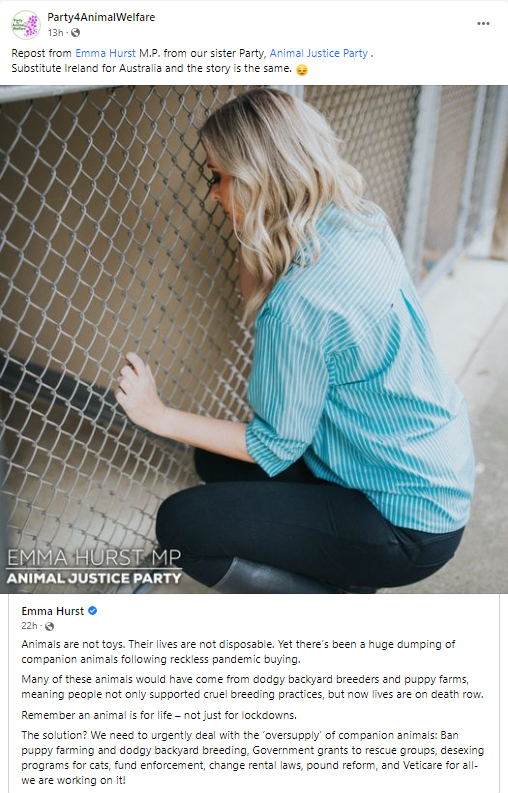 AnimalPartyIE's tweet photo. Repost Emma Hurst MP from our sister Animal Justice Party.
We need to urgently deal with the ‘oversupply’ of companion animals: #BanPuppyFarming & dodgy #BanBackyardBreeding .
Substitute Ireland for Australia and the story is the same. 😔
@MlcHurst
@AJPNSW
@animaljusticeAU https://t.co/43enges3Ul