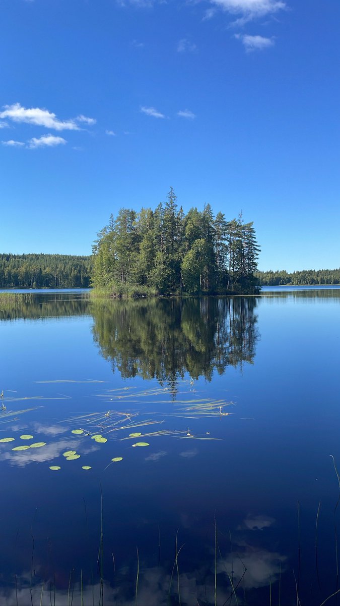 Luultavasti viimeiset marjat tiuksilta talteen. Viimeisistä kesäpäivistä -22 jäi kaunis muisto, muistetaan arvostaa myös läheltä tulevaa ruokaa. #kotimaisuus #suomiruoka