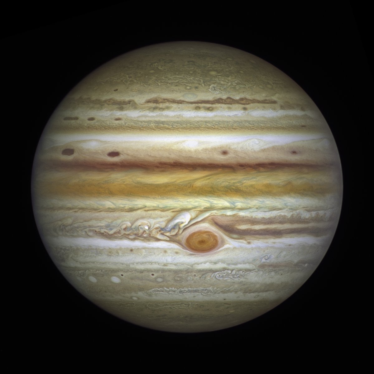 NASA Goddard tweet media