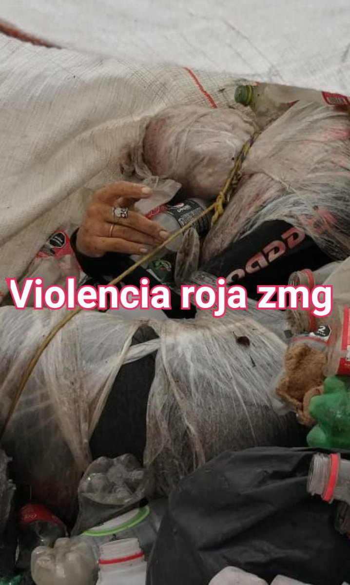 ViolenciaRojaZmg tweet media