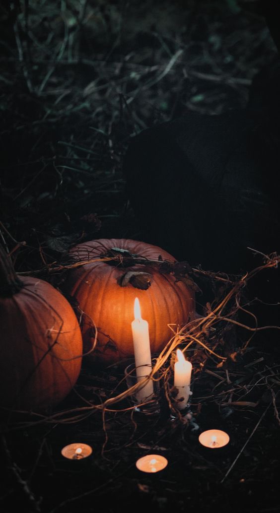 goth_videos's tweet photo. 🎃 halloween goth playlist🎃
  
              𝖘𝖕𝖔𝖔𝖐𝖞 𝖘𝖊𝖆𝖘𝖔𝖓

dark wave, post-punk, gothic rock, cold wave, minimal synth and eletrodark 

more than 24 hours of music 

link: https://t.co/SUhUcsg0RY https://t.co/cJkCUVimna