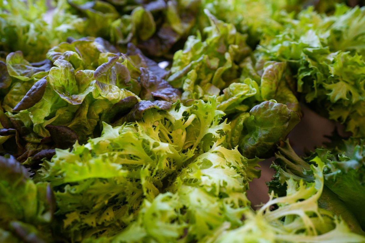 Dreaming of lying in a bed of greens 😉🥬