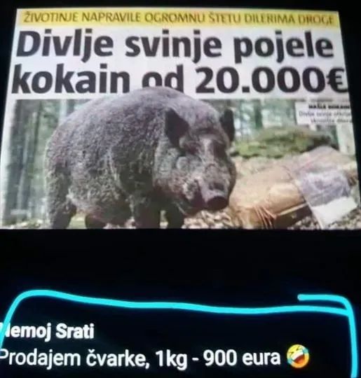 Fbb4a0yXgAg9ouP?format=jpg&name=small