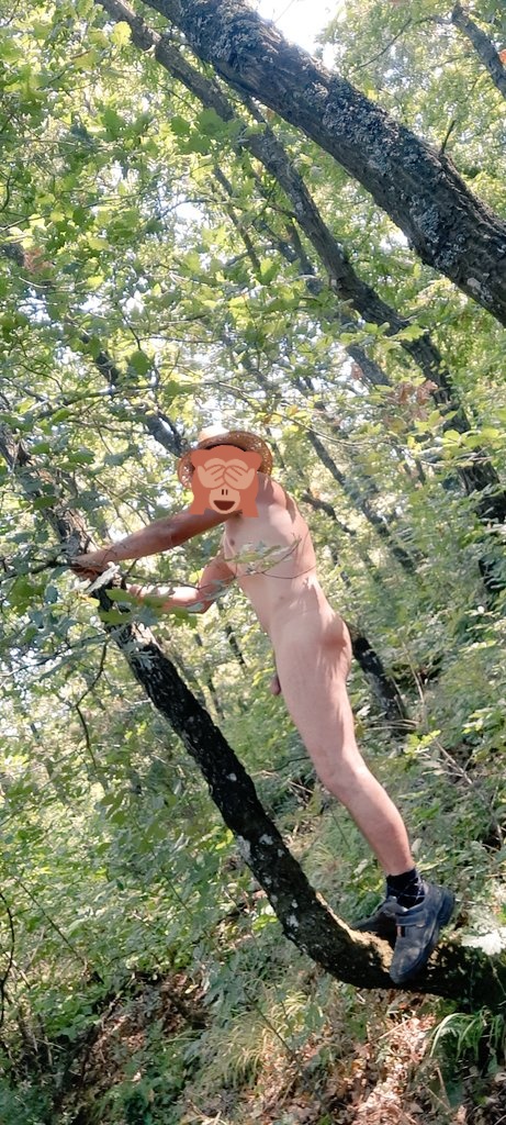 cowboyumm's tweet photo. I'm walking naked in the woods
#analsex #doublesex #bigcock #bigdick #flashing #naked #nudist #nakedcamp #rapesex #hardsex #interracialsex #groupsex #gangbangsex #sexparty #outdoorsex #cuckoldsex #blackedsex #hardcoresex #housesex #gardensex https://t.co/fjTuhKW3q8