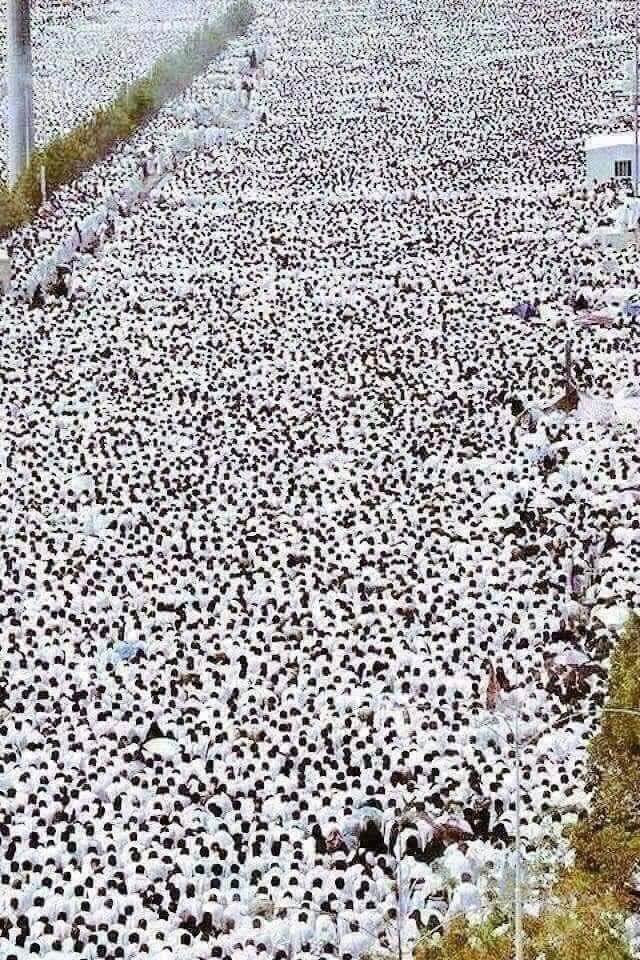 المسيرة الأجمل في العالم 💜

  "وإني مُباهٍ بكم الأمم يوم القيامة."  ﷺ  💜