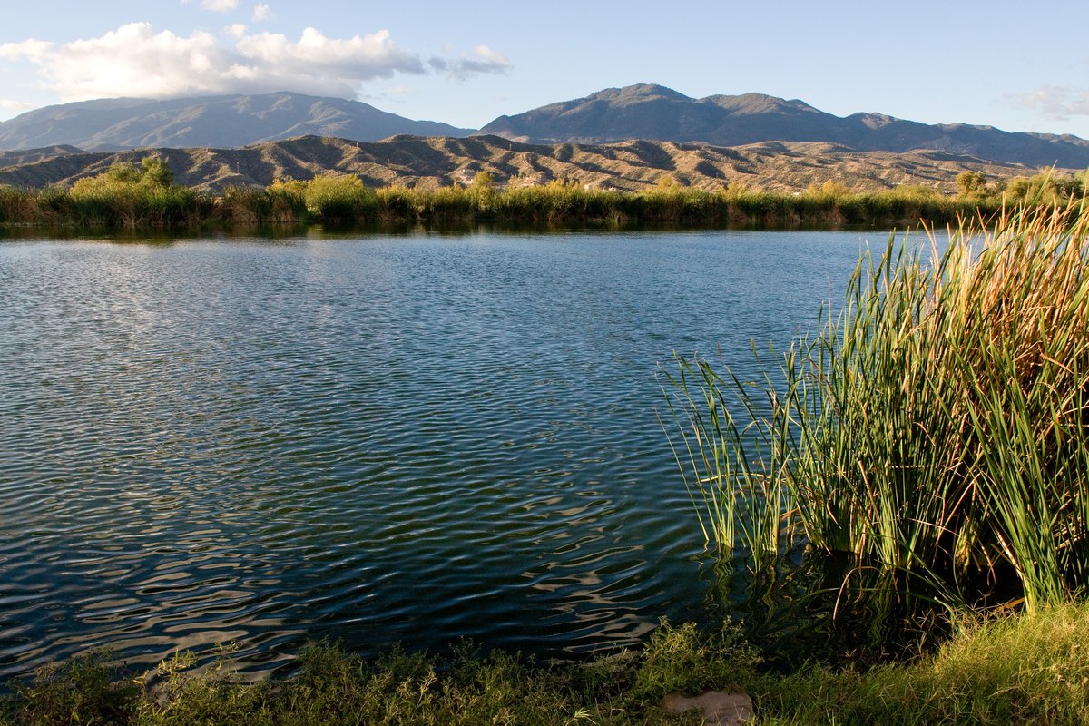 FM_FCX's tweet image. As responsible water stewards, we focus on minimizing our impacts on shared resources, while supporting the long-term resilience of our operations, host communities and the environment. Learn more: fcx.com/sustainability #WorldWaterWeek #WWW2022 #WWWeek2022