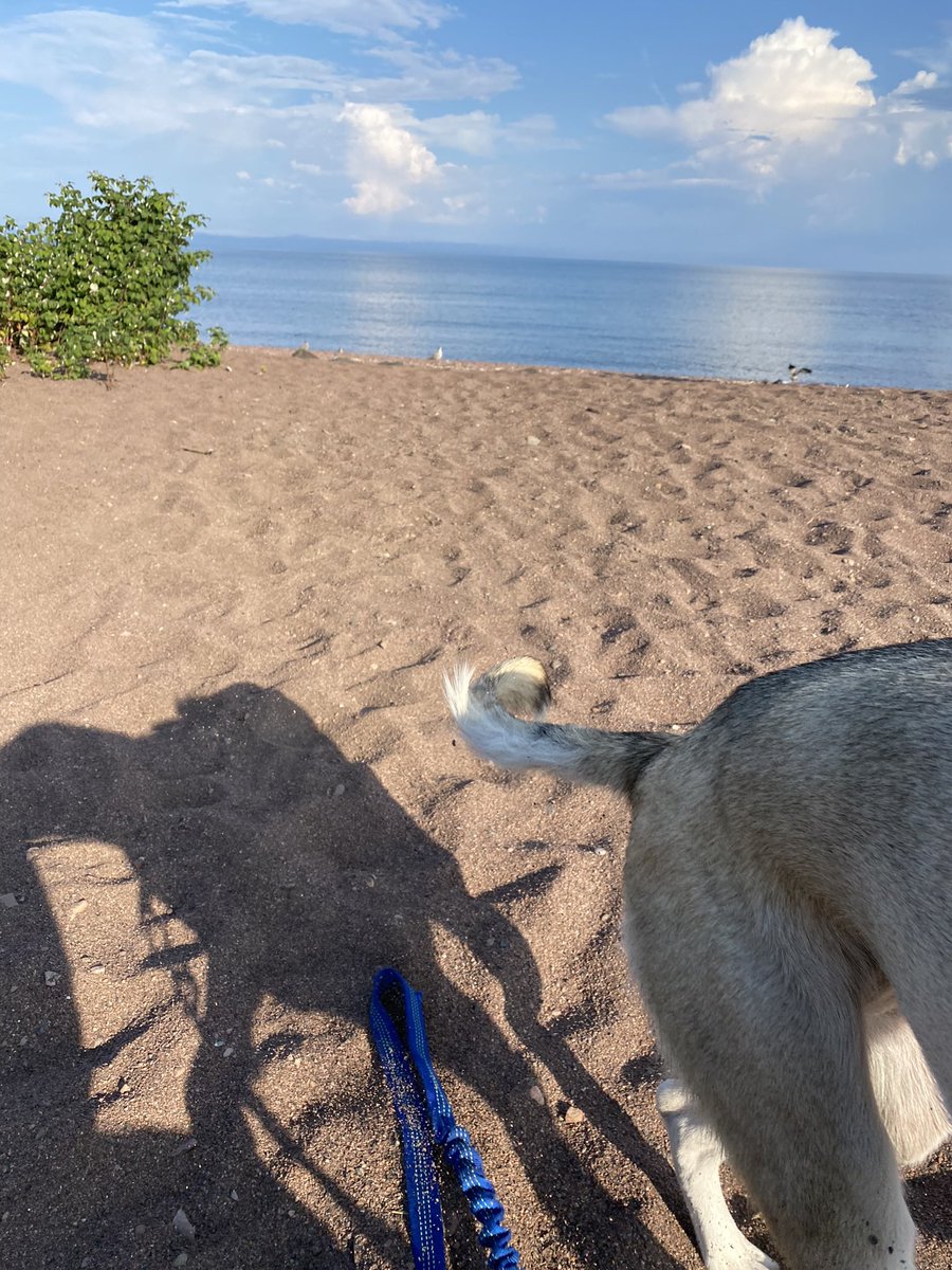 keersuh's tweet photo. 🥰 https://t.co/v71y4VwYh4