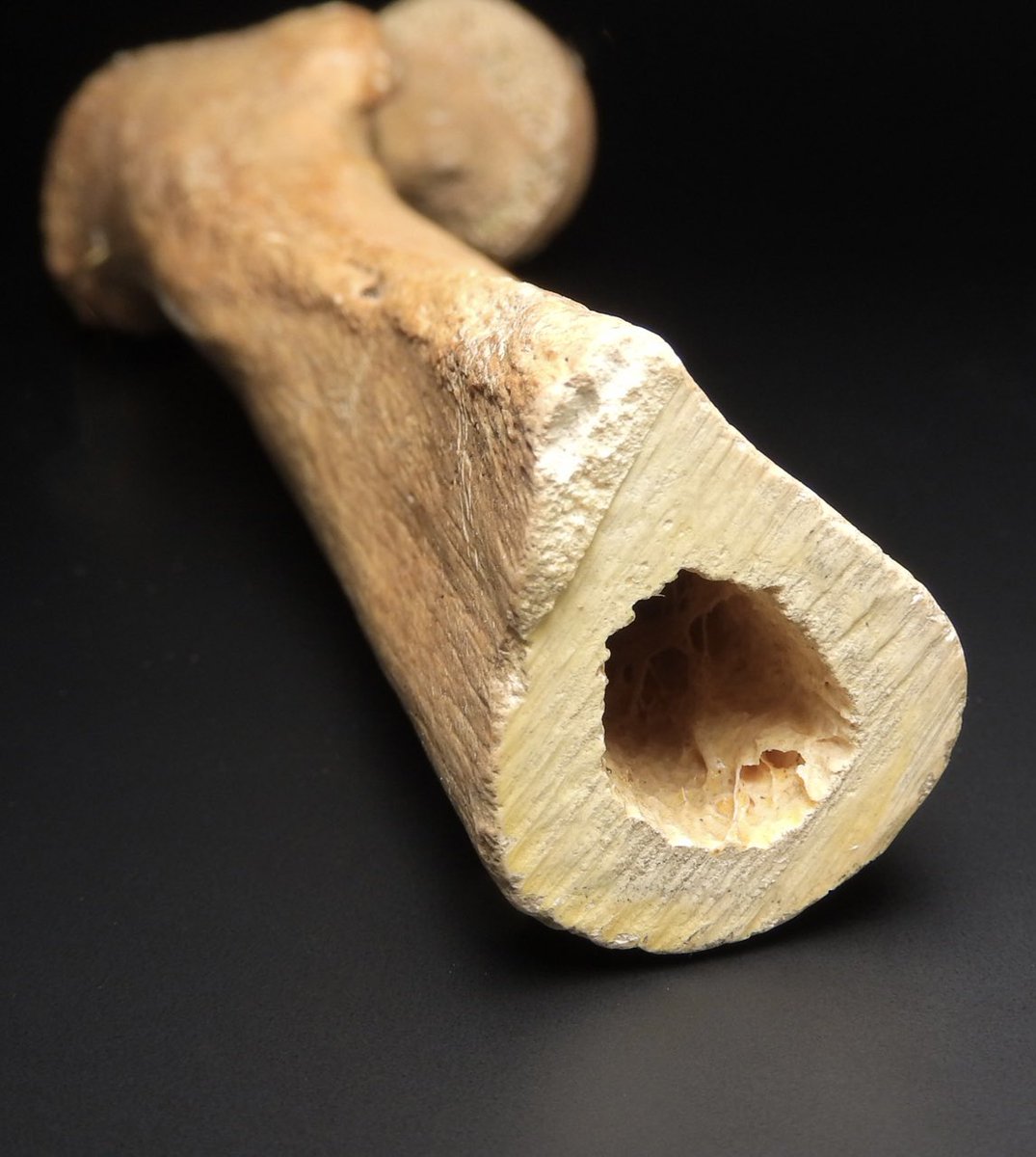 Daily Dose tweet media