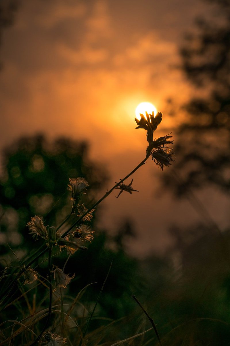 NftDropsCal's tweet photo. Gm #NFT &amp; #crypto Twitter, wishing you all a great day ☺️

New day, new opportunities but also new challenges, let it be a wonderful day ☀️

#web3 https://t.co/7rPGP3hF0v