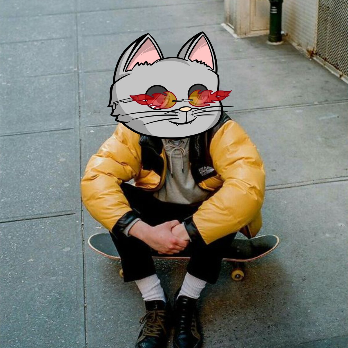 saymeowclub.algo tweet media