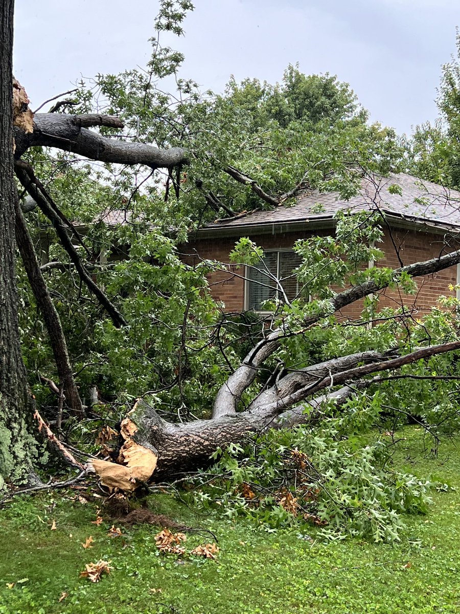 Miranda van Tilburg tweet media