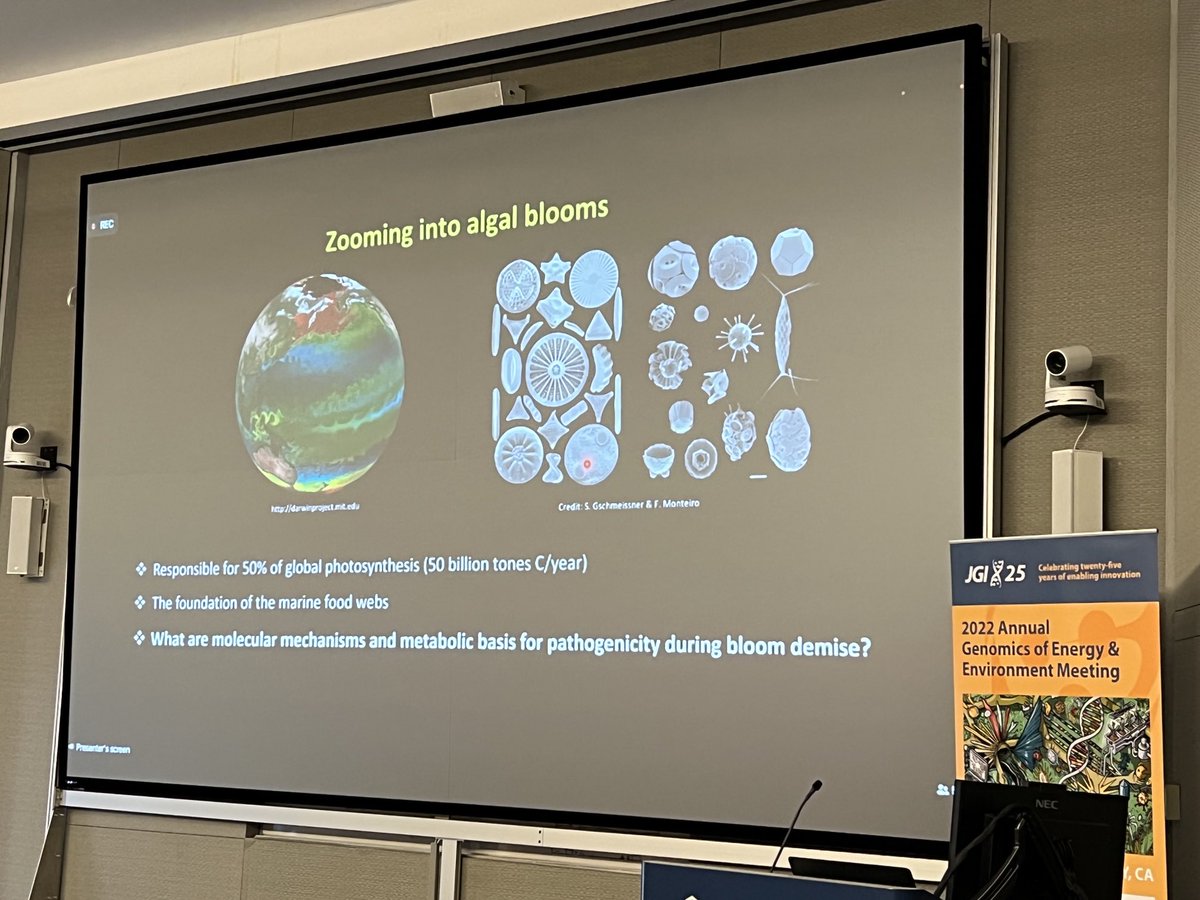 Our pre-recorded keynote is by Assaf Vardi from ⁦<a href="/WeizmannScience/">Weizmann Institute</a>⁩ and will cover the efforts to discover ecological interactions from the #ocean to the lab and back again. His wide-ranging talk starts with algal blooms and marine viruses. <a href="/jgi/">Joint Genome Institute</a> #JGI2022 <a href="/BerkeleyLab/">Berkeley Lab</a>