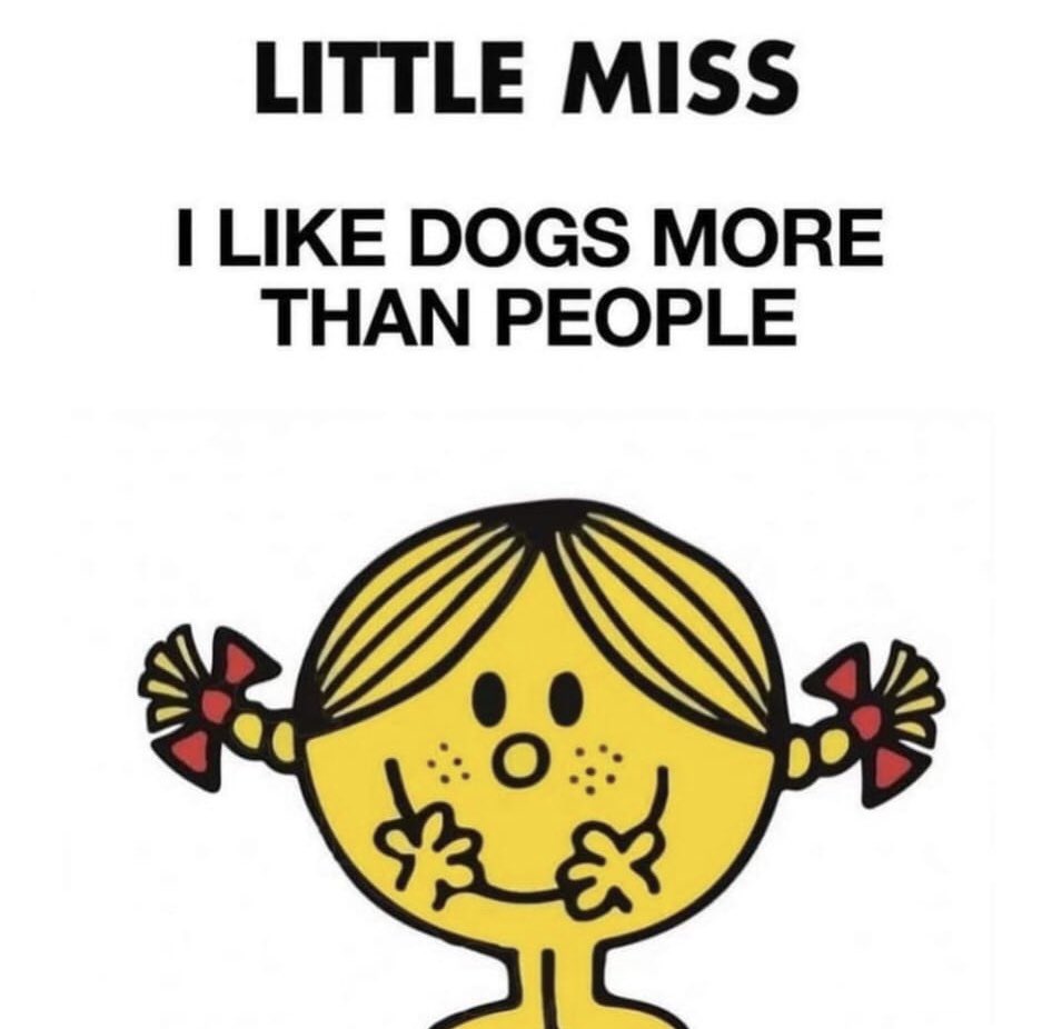 Alison_Cooper1's tweet photo. @BBCMorningLive @drjgreenwood ‘It’s a dog’ is so frustrating when one passes….. I will suffer so much when my 6yr old Lab goes, I am already panicking… they are better than humans! https://t.co/mucWopGjdD