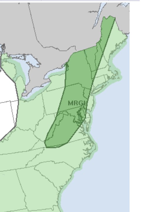 WX2BC's tweet photo. Storm Prediction Center in Norman OK has now (mid day Tuesday) included part of our area in a Marginal Risk zone for possible Severe Weather today (Tuesday)

Stay Alert for later updates and any Watches or Warnings

https://t.co/W13uOXRMuT https://t.co/cxVlah2r6H