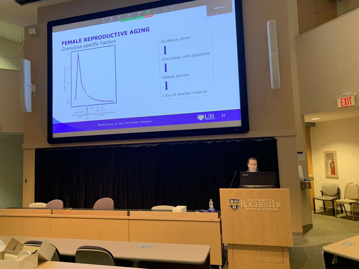 StephenHammes's tweet photo. Olga Astapova…physician, scientist, DOM pilot award winner, and now K-awardee, telling us how important androgens are for female fertility. https://t.co/Xgf1f6qWbX
