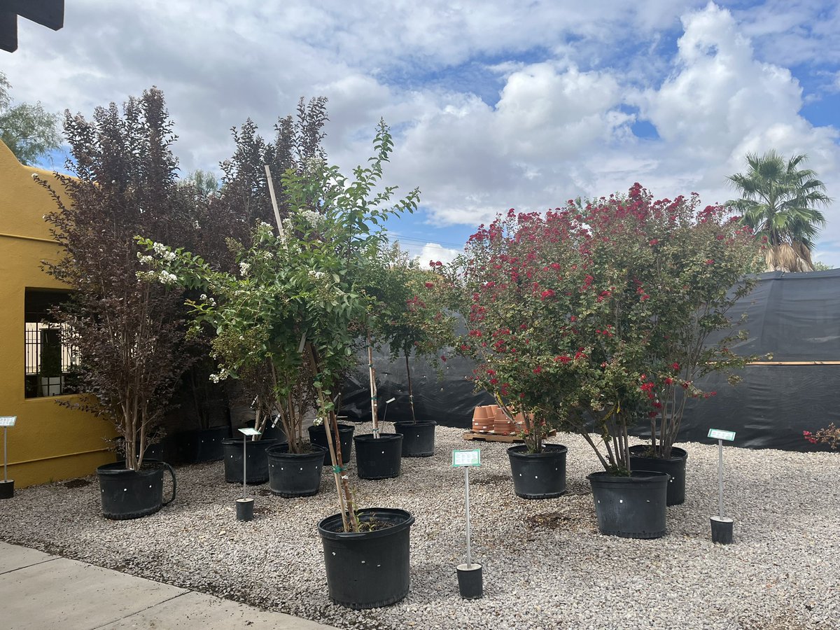 Pcastanon_CI's tweet photo. This scholar has maintained a job where she enjoys sunlight and the beauty of nature! :) @AJansen_CI @RYanez_CI @LRay_CI @MOlivarez_CI @jsaenz_CI @Tdiaz_CI  @mgasca_CI @mlucero_hms https://t.co/p3xEky1Qx6