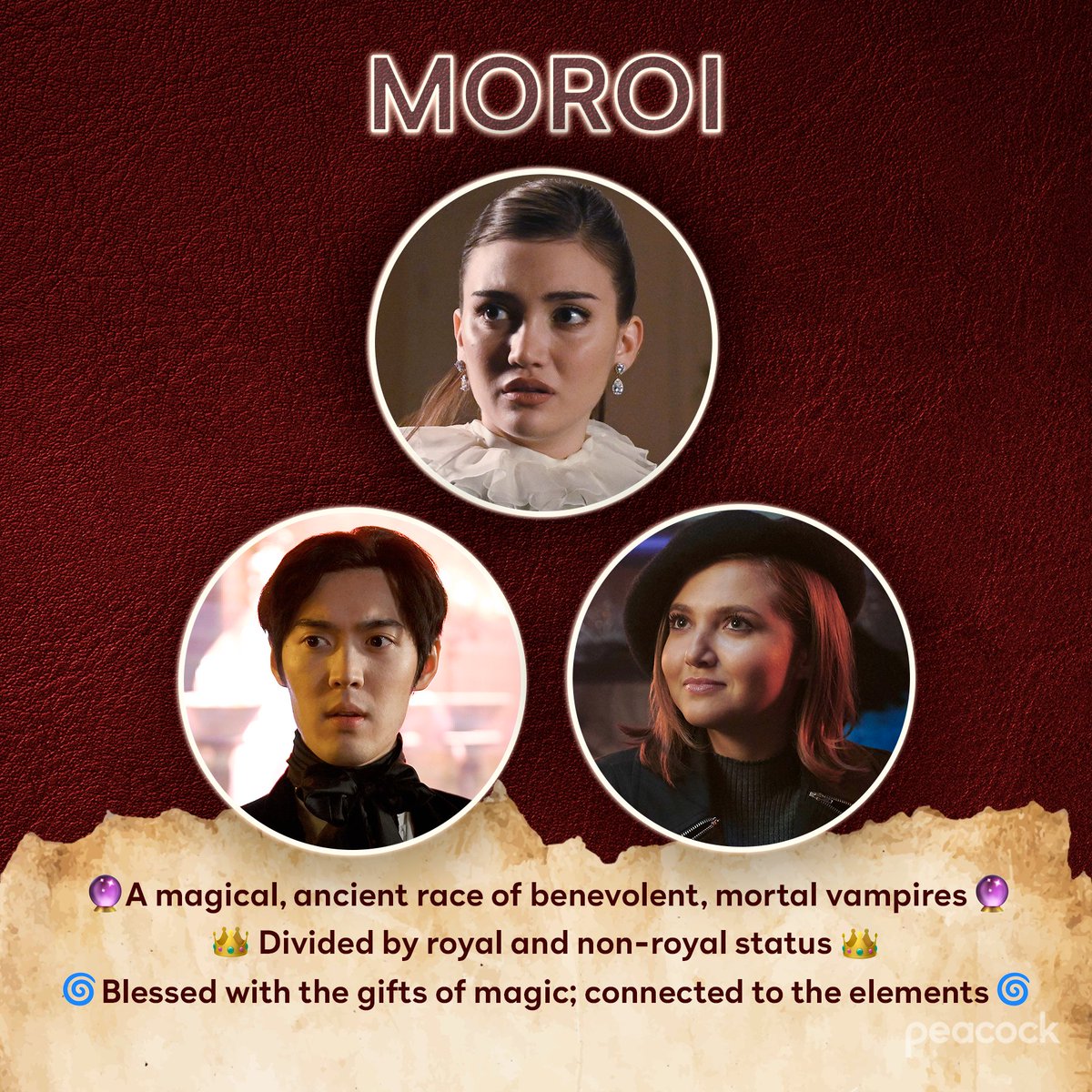 peacock's tweet photo. Welcome to the world of Vampire Academy 👋 Tap to learn about the different vampire types before September 15th. https://t.co/0VE3wEMTze