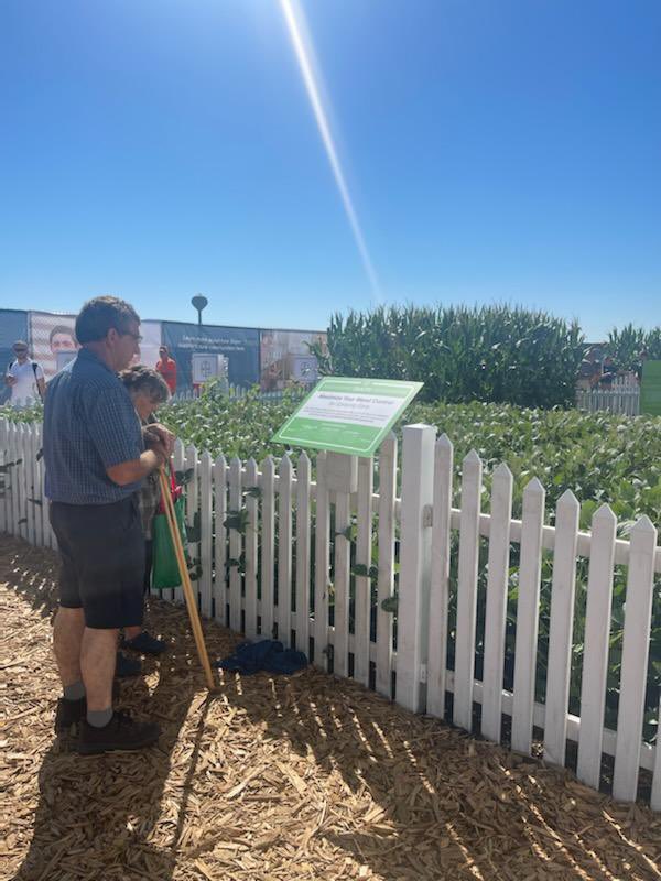 BayerTraits's tweet image. The sun is shining on the #SmartCornSystem here in Boone, IA at the @FPShow! 😎 Stroll by booth 30S and see the #InnovationInAction! #FPS22