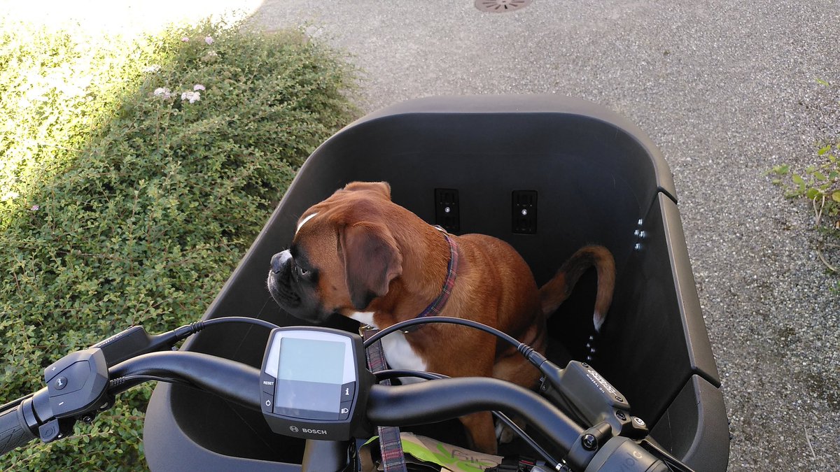 Pascual Gabriel tweet media