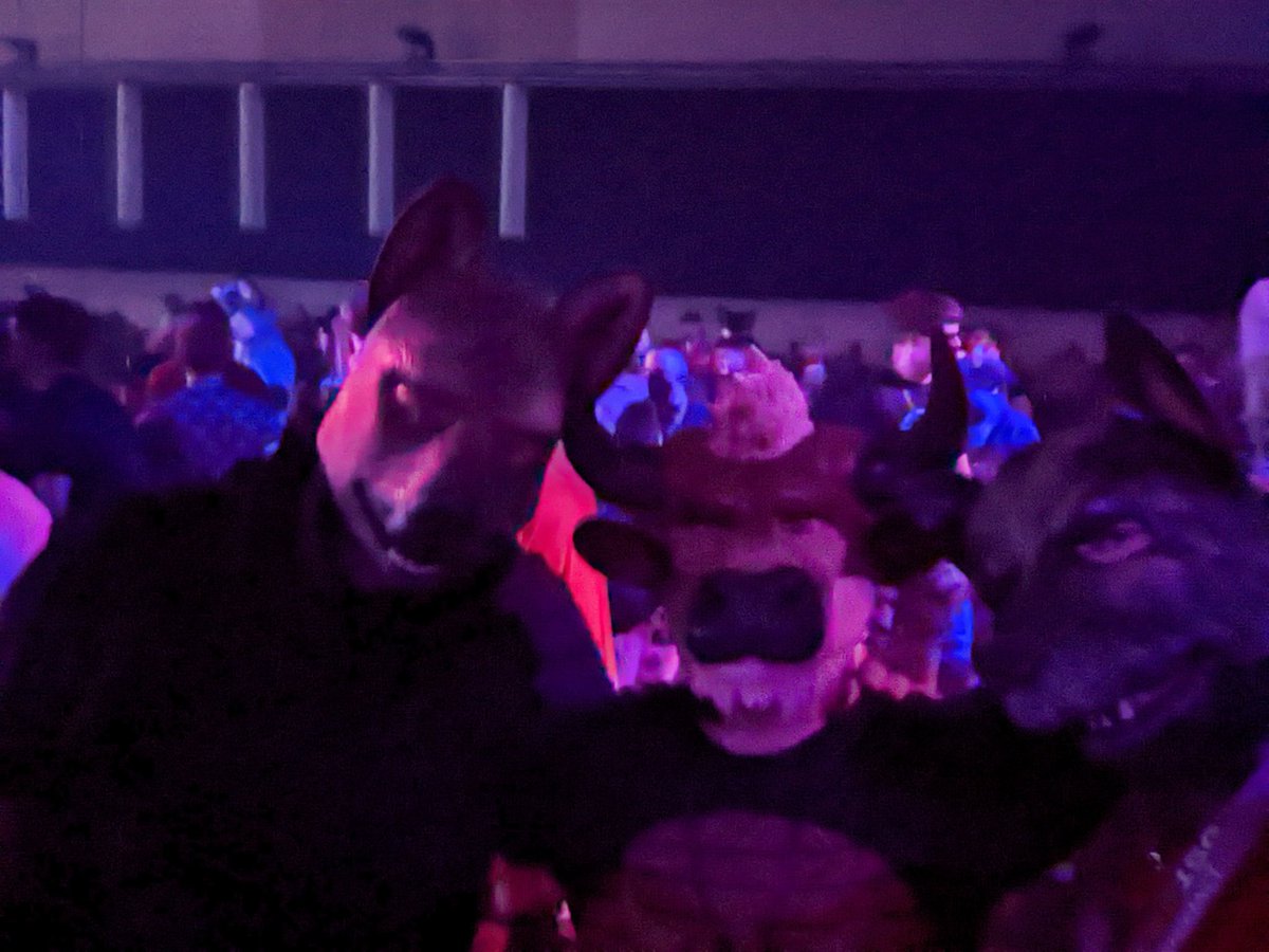 Thank you <a href="/eurofurence/">Eurofurence</a> for the chance to finally feel included in our community.

 Being able to express my furry identity and dance with my friends was so wonderful! 🥰🥰♥️♥️

it's really nice to see the diversity, inclusion &amp; acceptance that EF has progressed towards! #EF26