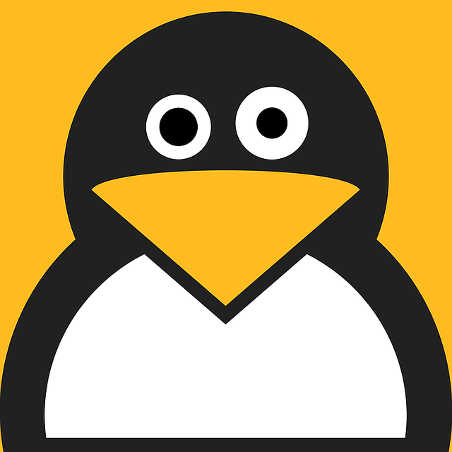 DokeHost's tweet photo. Quer saber o que é uma VPS Linux? Então se prepare, pois, neste post falaremos tudo o que precisa saber sobre o assunto e claro, o porquê escolher esse tipo de VPS é uma ótima alternativa para o seu negócio.

Boa leitura!

O que é um VPS Linux?  #linux

https://t.co/cKZjsGucSv https://t.co/UAPXSD1iwH