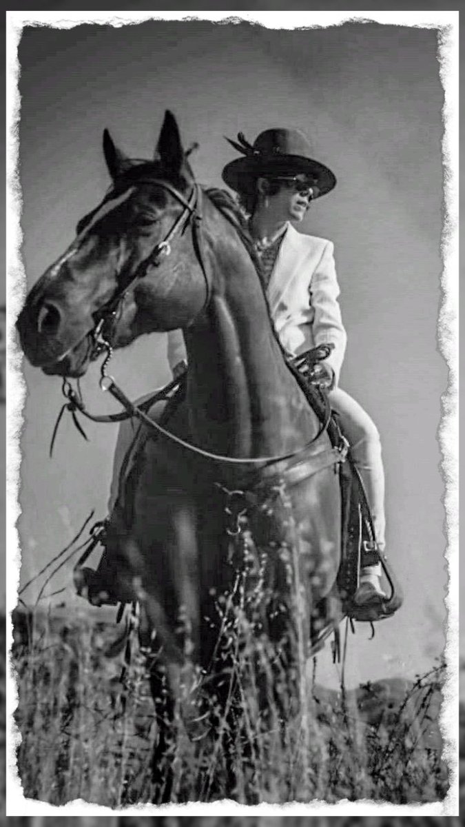 iamlp_eb's tweet photo. Sheriff on duty.👮
@iamlp
.
.
.
.
.
.
#lpofficial #angels #foreverfornow
#howlowcanyougo #LPeople #iamlp #iamlpofficial #eblp #laurapergolizzi #lpeb #lpmusic #singer #guitar #lostonyou #lp https://t.co/sWyEvFm44i