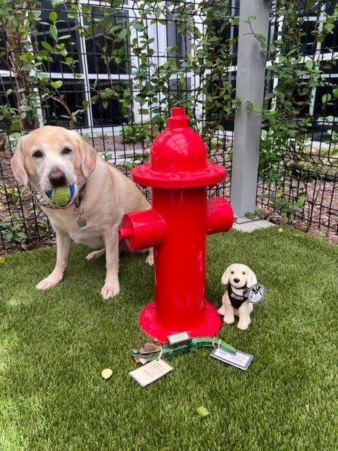 GNVAirport's tweet photo. Before he was found, Al E. Gator was Flying Easy all over @GNVAirport! He enjoyed Tailwind for a cool bev, speedy @TSA PreCheck, the pet relief area with K9 Beamer and great views of @FlyUAC π§‘πβοΈπ#gnvlovesgators #dukeenergy #gainesvillesportscommission #artisansguildgallery https://t.co/iYp1tbX6tA