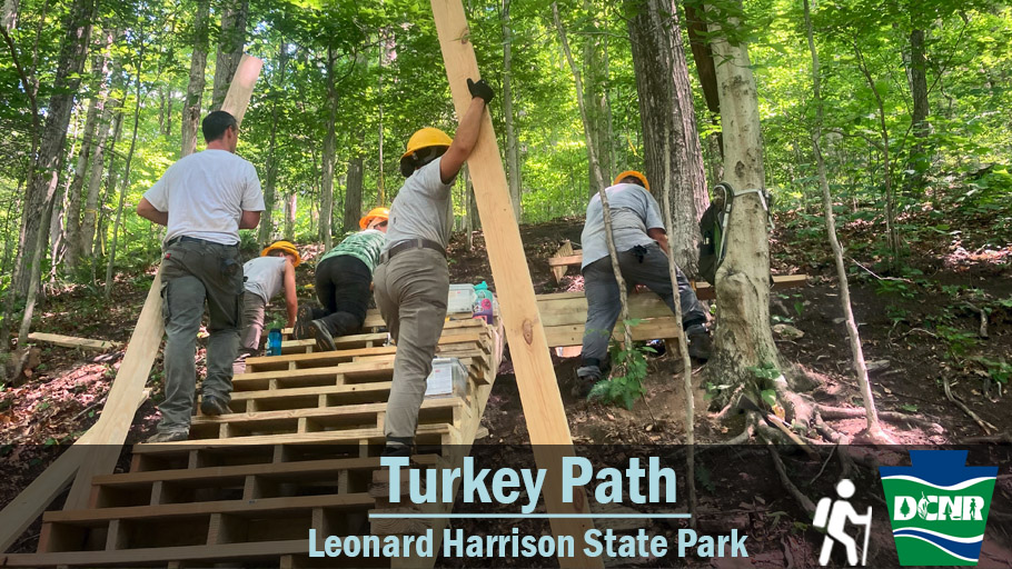 DCNRnews's tweet photo. After it suffered severe storm damage, the work of multiple #PAOutdoorCorps crews was vital to reopening the #TurkeyPath at #LeonardHarrisonStatePark -- a popular and strenuous climb into the Pine Creek Gorge and back. Learn more ➡ https://t.co/FdCjm5Ud6B #TrailTuesday #PAWilds https://t.co/ekW4Bfx5cN