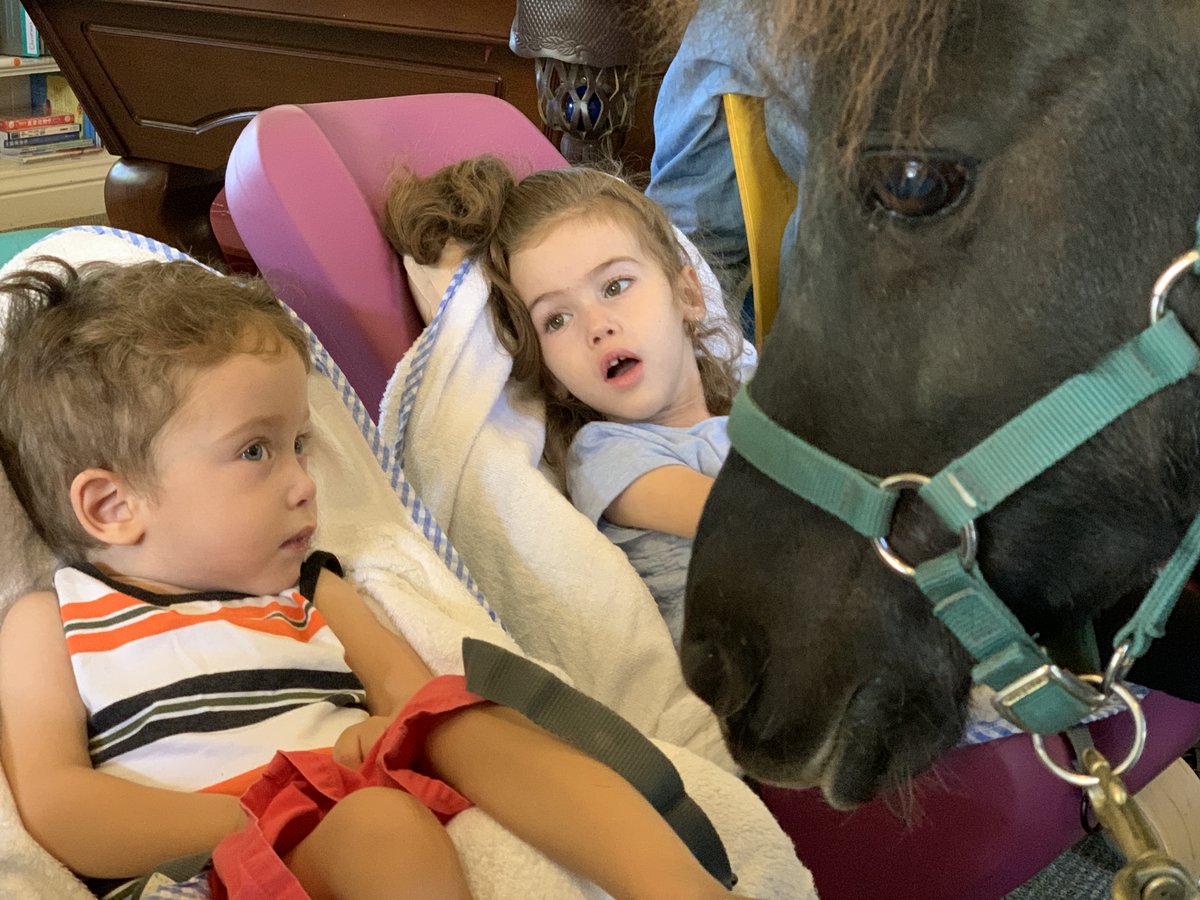 gmch's tweet photo. When our four hoofed-friend and kids are locked in very captivating moments, it is magic! π΄π
#hapc #pedpc #SonriseEquestrianFoundation #LifeInTheHouse #childlifeprogramming #childlife #qualityoflife #travelingtails #therapeutichorse https://t.co/DHffFtrtLh
