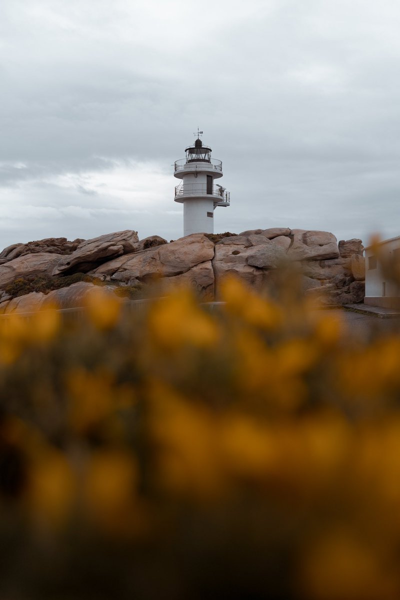 causa803's tweet photo. Galicia es Magia #Galicia https://t.co/bbhdy2gPh3