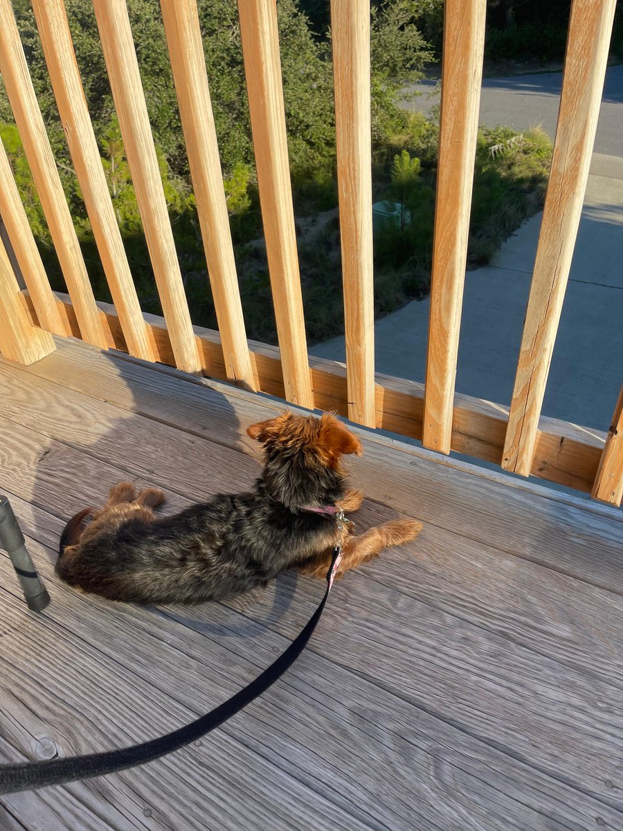 I’m back to office after ~3 weeks filled with the best milkshakes and fish tacos, outdoor yoga, walks, bike rides, lots of beautiful sunsets, reading, and relaxing.

Finding the “right time” to take work off is hard. But it’s so necessary! Feeling refreshed and revitalized!