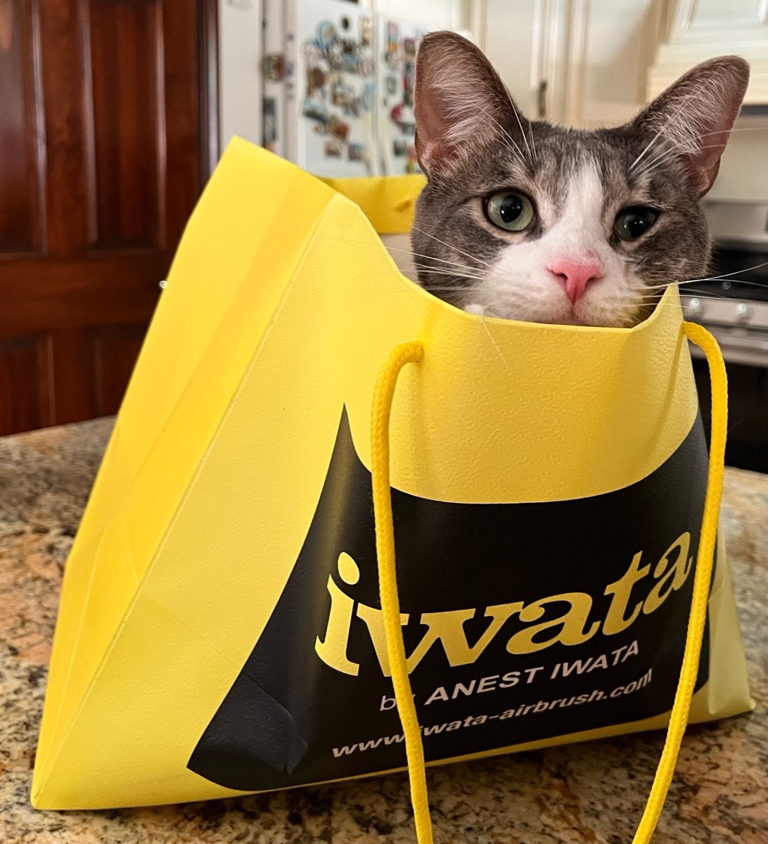 DavidArtCenter's tweet photo. Had a Cat-astrophe with your airbrush? We carry parts for most Iwata and Paasche models to keep your setup purring. Cat (Sal) not included. https://t.co/EjFB9t9Ptt