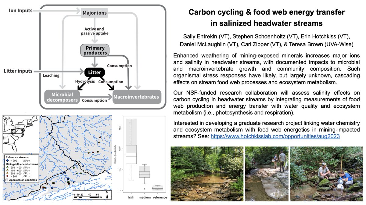 FluvialBenthos's tweet photo. Please share: Grad student position in #freshwater #ecology &amp; #biogeochemistry! Our #SaltyCarbon  collaboration will integrate food web &amp; ecosystem function measurements across a salinity gradient in mining-impacted &amp; reference streams. More info/to apply: https://t.co/VhvNJbdAvp https://t.co/BNhcxzVQHB