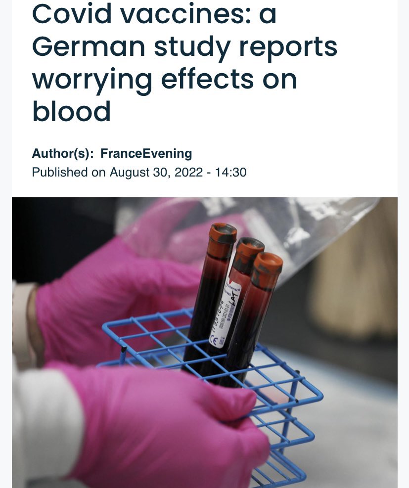 “ ‘💉 programs must stop immediately’ 
Thus ends a German report on the harmful effects of 💉- made public on July 6 without any mainstream media mentioning it.”
