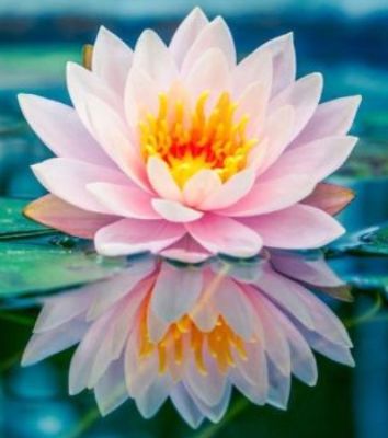 Weekend course with Lama Rinchen - mailchi.mp/b3d53d4ac8a0/s…
