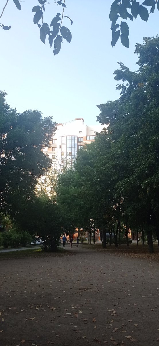 winterthro_ne's tweet photo. #92daysOfSummer
27.08.
Хотели съездить в Терийоки (Напоминаю, мне всегда больше нравилось это название), но Дайичи вызвали на работу, так что дела домашние были моим уделом. 
Уже нападало жёлтых листьев... https://t.co/JDJRR6mnnT