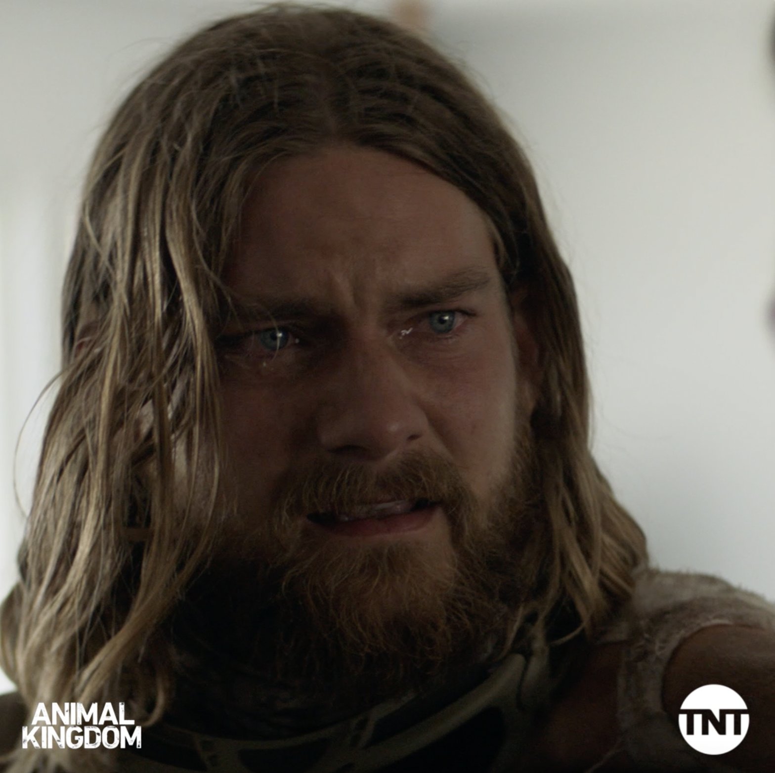 animal-kingdom-on-twitter-spoilers-ahead-let-s-talk-about-last