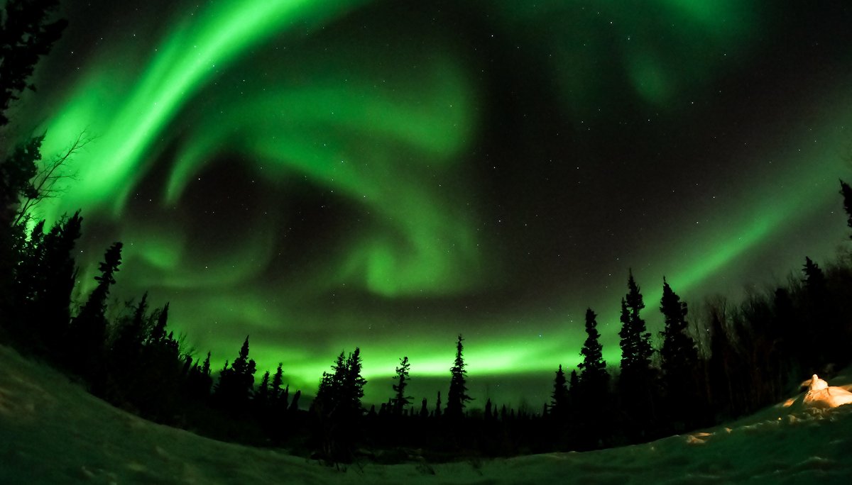 revistainfotogo's tweet photo. La #auroraboreal es un fenómeno en forma de luminiscencia que se presenta en el cielo nocturno, generalmente en zonas polares.
Junto con #StarTrip hicimos una lista de los mejores lugares para ver la aurora boreal
👇 https://t.co/VsNdJrY1T8 https://t.co/19IEKtOjHi