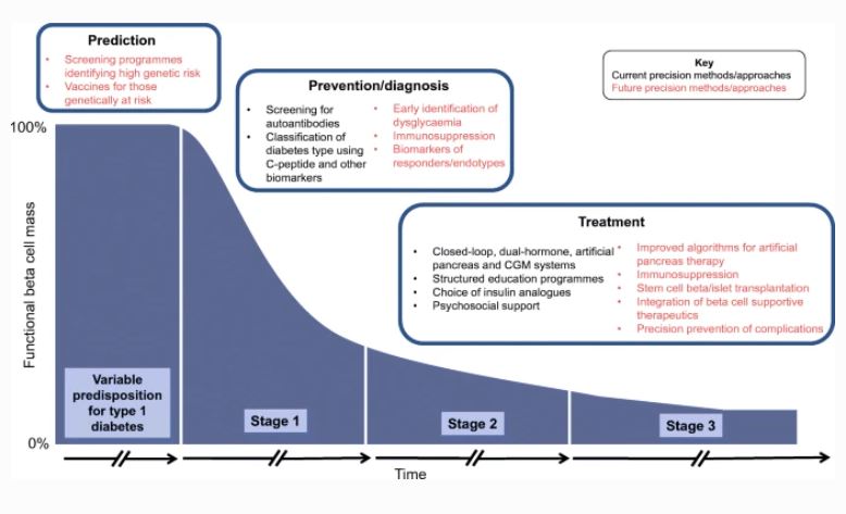 Diabetologia (@diabetologiajnl) on Twitter photo In 1924, Joslin observed that the treatment of #Type1Diabetes ‘must be adjusted to the condition of the patient’. <a href="/alicelouisejane/">Alice Carr</a> <a href="/cevansmo/">Dr. Carmella EvansMolina</a> <a href="/RAOram/">Richard Oram</a> review progress in patient-centred care and the evolution of #PrecisionMedicine in type 1 diabetes bit.ly/3AnGuok 🔓 In 1924, Joslin observed that the treatment of #Type1Diabetes ‘must be adjusted to the condition of the patient’. <a href="/alicelouisejane/">Alice Carr</a> <a href="/cevansmo/">Dr. Carmella EvansMolina</a> <a href="/RAOram/">Richard Oram</a> review progress in patient-centred care and the evolution of #PrecisionMedicine in type 1 diabetes bit.ly/3AnGuok 🔓