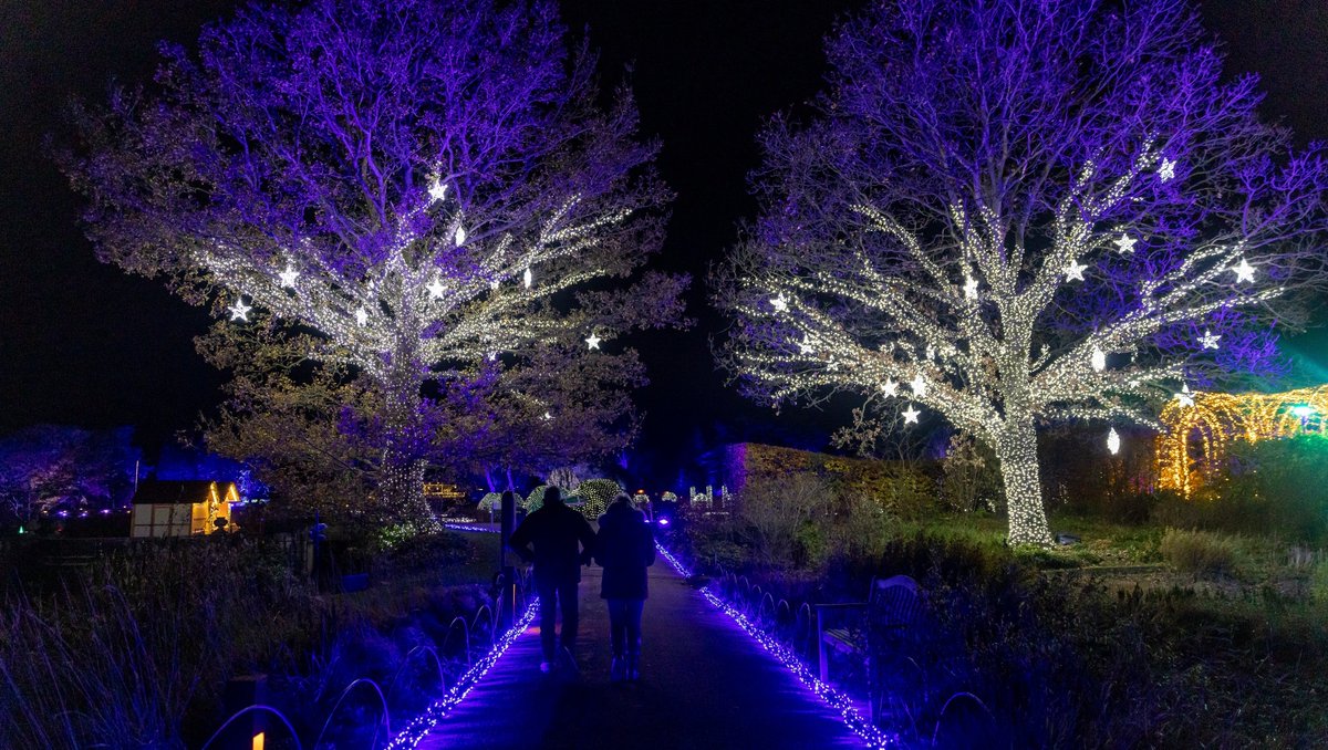 TrenthamLights's tweet photo. With magic behind every corner, we truly can't wait for you to join us at #ChristmasAtTrentham again this year! ✨

Limited tickets are available for the Christmas week, so be quick! Book now and rest assured that your festive plans are sorted 😍

Tickets: https://t.co/RVjdOwHx7I https://t.co/bHsxwwFRfb