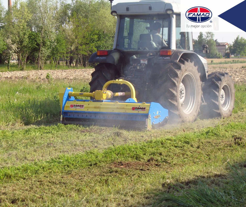 FAMAQ4's tweet photo. La TMU Zanon es una trituradora de estructura reforzada y muy eficiente. Recomendada para aguacate, nogal, cítricos, maíz, trigo, sorgo, espárragos, entre otros. 🥇🌾👏🤩🤠

Página web: https://t.co/9bYInpJF2h
teléfono: 352 526 2008
Youtube: https://t.co/UhyxFQqJjq https://t.co/sryGZzUc8s